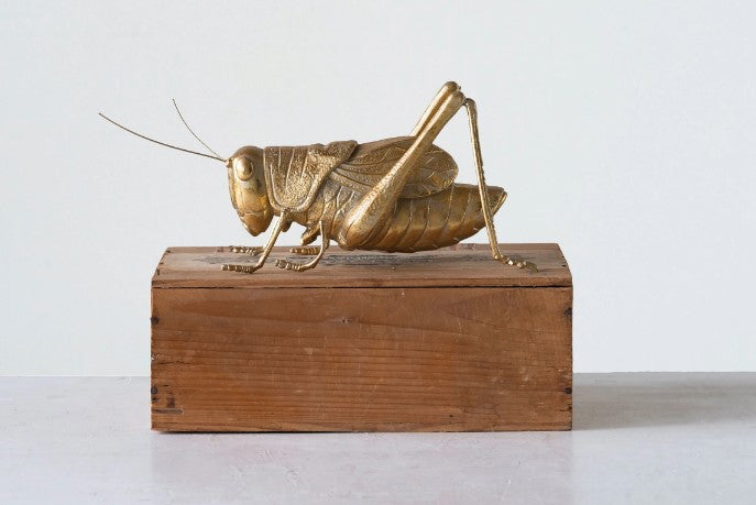 Resin Cricket, Gold Finish